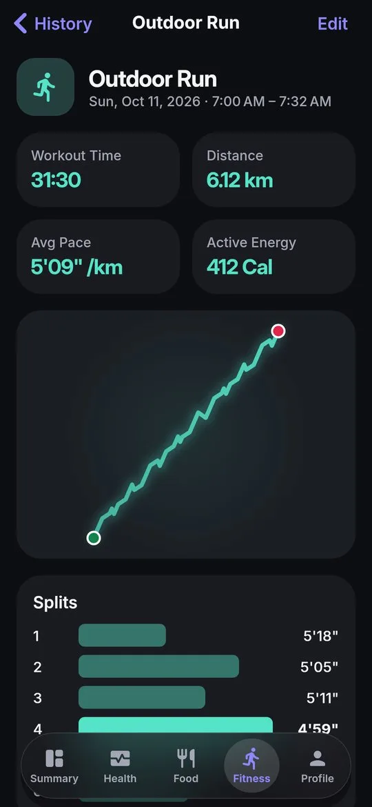 An outdoor run with its route and splits