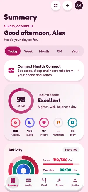 Summary tab in the Bubblegum theme, light mode