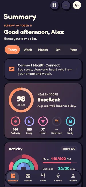 Summary tab in the Cartoon theme, dark mode