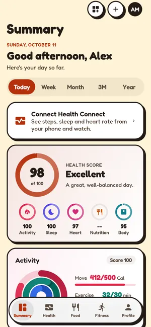 Summary tab in the Cartoon theme, light mode