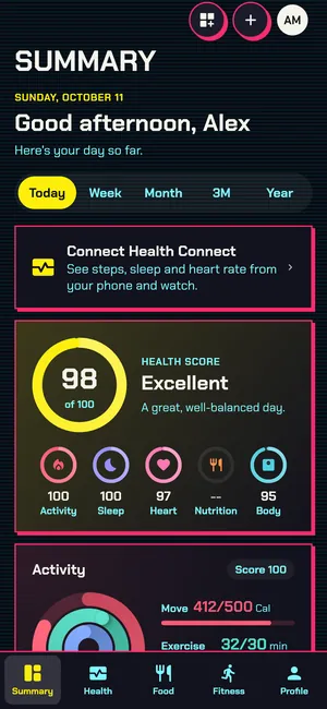 Summary tab in the Cyberpunk theme, dark mode
