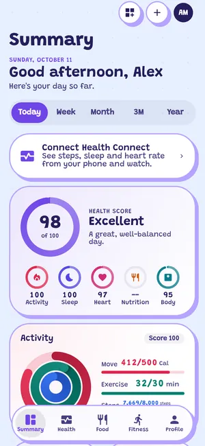 Summary tab in the Daydream theme, light mode