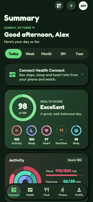 Summary tab in the Jungle Toon theme, dark mode